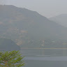 Veena
